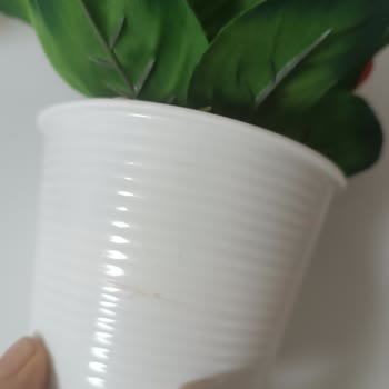 N11'de Yanlış Çiçek Gönderimi Ve Müşteri Hizmetlerinden Cevapsızlık