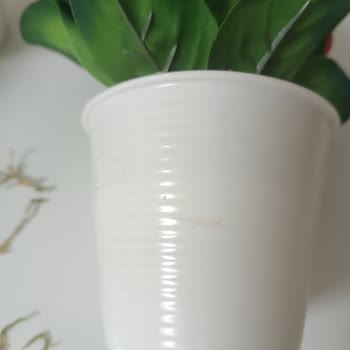 N11'de Yanlış Çiçek Gönderimi Ve Müşteri Hizmetlerinden Cevapsızlık