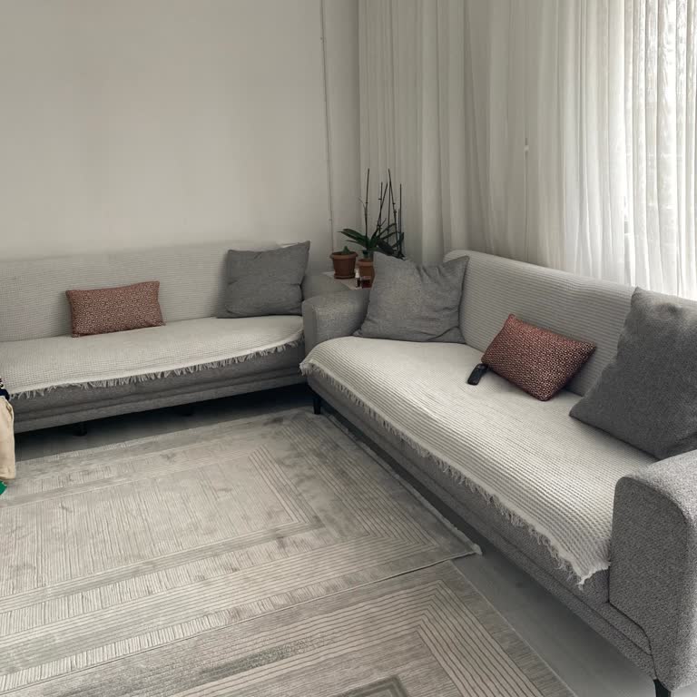 Divanev Lodi Koltuk Takımının Gıcırdama Sorunu Çözülmedi