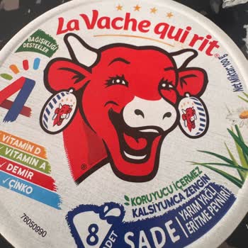 La Vache Qui Rit Peynirinde Kıl Tespiti Sağlık Ve Hijyen Sorunu