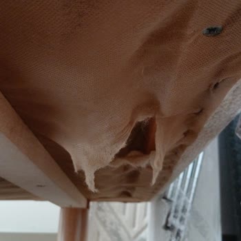 Mobilya Dünyası Konya Ne İstediğim Ürünler Geldi Ne De Teslim Edilen Ürünler Sorunsuzdu