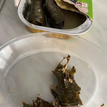 Zel Yaprak Sarması Kalitesiz: Sert Pirinç Ve Kötü Koku