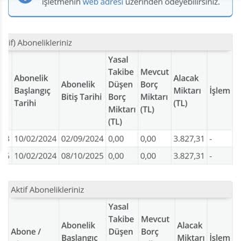 İade Ödemesinin Gecikmesi Ve Müşteri Hizmetlerinin Ulaşılamazlığı
