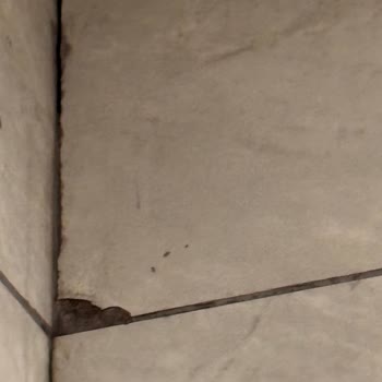 Bauhaus Bursa’da Banyo Tadilatı Uzun Gecikme Ve Kalitesiz İşçilik