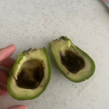 Migros Sanal Market Avokado Siparişinde Kalitesiz Ve Bozulmuş Ürün Şikayeti