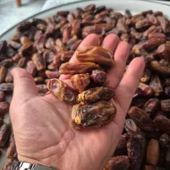 Tumuur Hurma & Kahve Hepsi Bayat