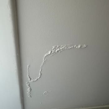 Garanti Süresi İçinde Bildirilen Su Sızıntısı Çözülmedi, Garanti Dışı Kılındı