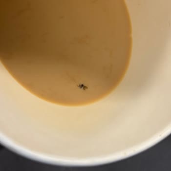 Yanlış Gönderim Ve Sinekli İçecek Nedeniyle Ücret İadesi Talebi