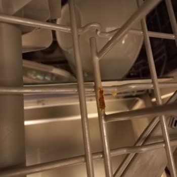 Üst Rafın Soyulması Ve Paslanması İçin Ücretsiz Değişim Talebi