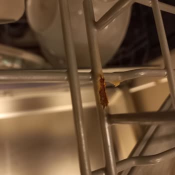 Üst Rafın Soyulması Ve Paslanması İçin Ücretsiz Değişim Talebi