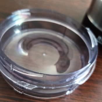 Çiçek Sepeti Nema Electric Grinder Şikayeti