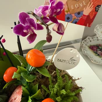 Hastalıklı Çiçek Gönderimi Ve Müşteri Hizmetlerinin Yetersizliği