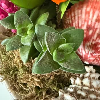 Hastalıklı Çiçek Gönderimi Ve Müşteri Hizmetlerinin Yetersizliği