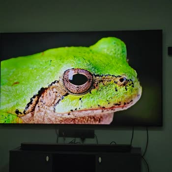 Samsung 75QN90F Televizyonunda Görüntü Bozukluğu Ve İade Reddi
