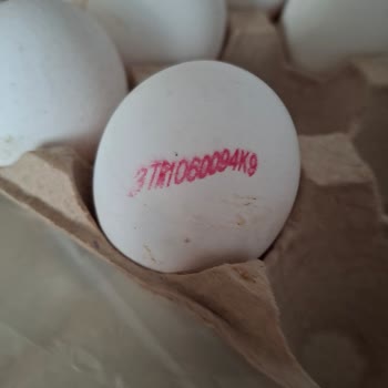 Damgasız Yumurta Kolisi Gıda Güvenliğini Tehdit Ediyor