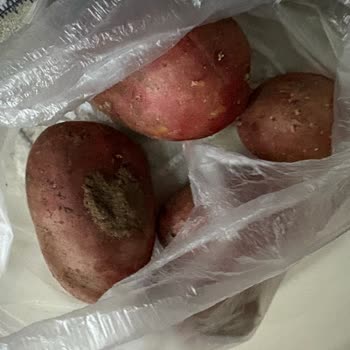 Migros'tan Tarihi Geçmiş Keçi Sütü Ve Yanlış Patates Teslimatı