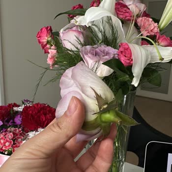 Hızlı Çiçek | Hizlicicek.com İki Kez Yanlış ve Kalitesiz Ürün Gönderilmesi