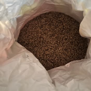 Akyol Kardeşler Versele Laga Prestij Karışık Kanarya Yemi Şikayeti