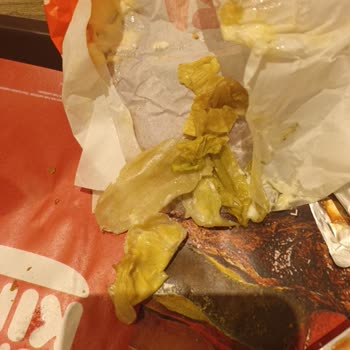 Burger King’te Bozulmuş Marul Ve Bayat Patatesler Nedeniyle İade Talebi