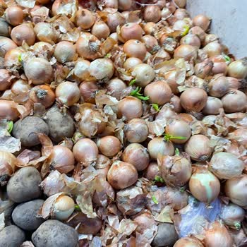 Aras Market Turgut Özal Caddesi’ndeki Bozuk Ürünler Ve İlgisiz Personel Üzerine Şikayet