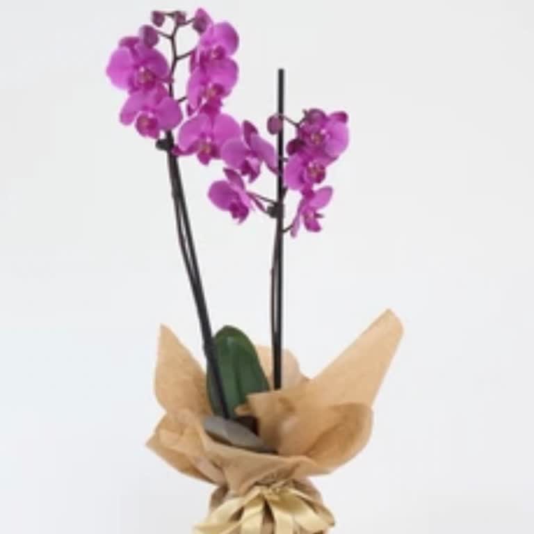 Teslimat Saatine Uyulmaması, Sürprizin Bozulması Ve İletişim Eksikliği