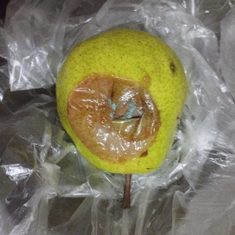 Şok Market Kars Merkez'de Sürekli Bozuk Meyve Sebze Teslimatı