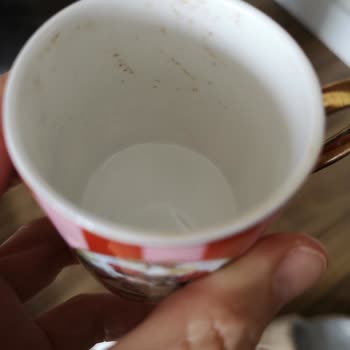Altus Bulaşık Makinesi Temizleme Ve Kurutma Sorunları
