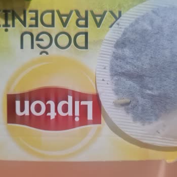 Lipton Çay Poşetlerinde Kurtlar Bulundu: Hijyen Ve Güvenlik Şikayeti