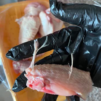 As Piliç Kanatta Tavuk Tüyleri Vardı!