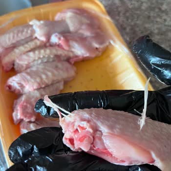 As Piliç Kanatta Tavuk Tüyleri Vardı!