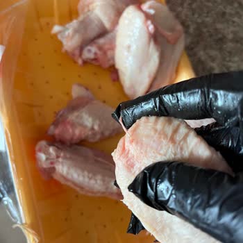 As Piliç Kanatta Tavuk Tüyleri Vardı!