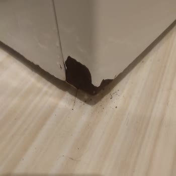 Bosch Çamaşır Makinesinde Paslanma Sorunu Ve Kalite Şikayeti