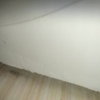 Bosch Çamaşır Makinesinde Paslanma Sorunu Ve Kalite Şikayeti