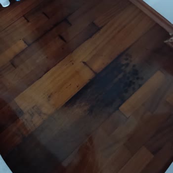 Derin Dondurucuda Su Sızıntısı Ve Küflenme