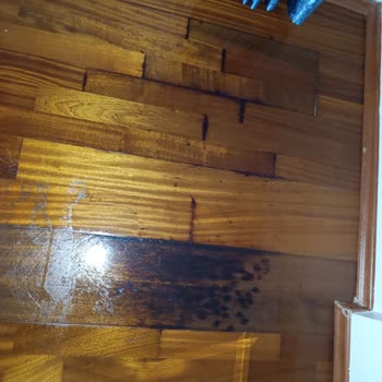 Derin Dondurucuda Su Sızıntısı Ve Küflenme