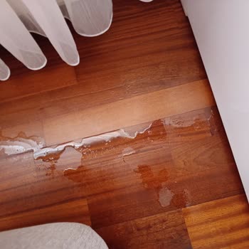 Derin Dondurucuda Su Sızıntısı Ve Küflenme