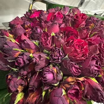 Sevgililer Günü Buketinde Gecikme Ve Çürük Güller Nedeniyle Tam İade İstiyorum