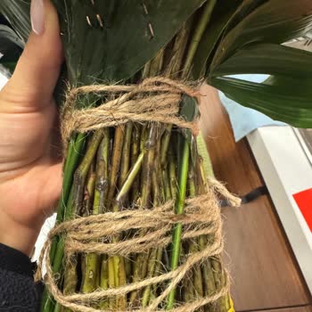 Sevgililer Günü Buketinde Gecikme Ve Çürük Güller Nedeniyle Tam İade İstiyorum