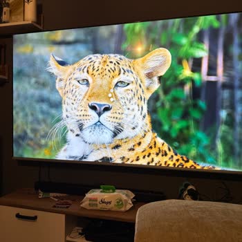 Sürekli Kopan İnternet Ve Yetersiz Müşteri Desteği İçin Hızlı Çözüm Talebi