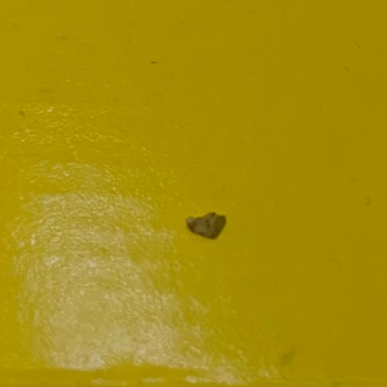 Şok Marketler Forlife Ürünün İçinden Taşa Benzer, Çok Sert ve Kırılmayan Yabancı Bir Madde Çıktı