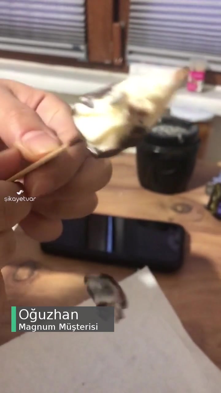 Magnum İçinden Saç Kılı Çıkması videonun kapak resmi