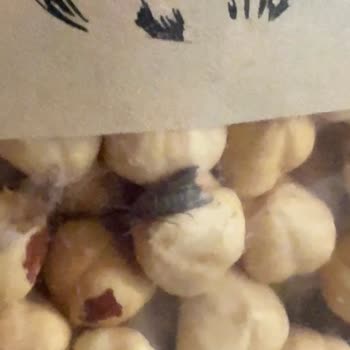 Fındıkcım Karadeniz Efsanesi'nde Kelebek Bulunması Ve Bozulmuş Ürün Şikayeti