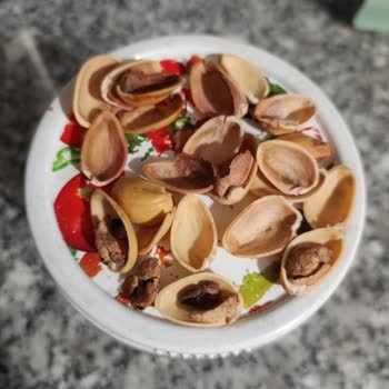 Boş Ve Kurumuş Antep Fıstığı İçin İade Talebi