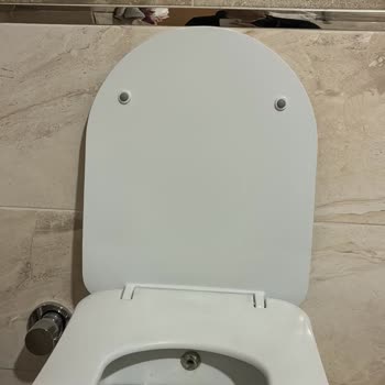 Creavit Klozet Kapağının Yavaş Kapanma Özelliği Çalışmıyor, Yedek Parça Bulunamıyor