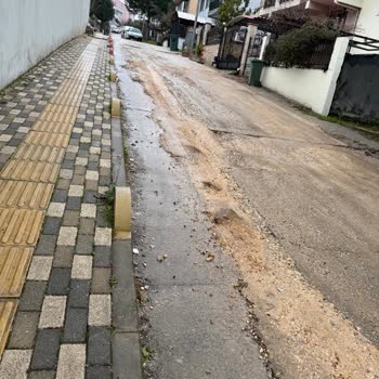 Yunuseli Mahallesi 248. Sokakta Kalıcı Asfalt Yoksunluğu Ve Çamur Çukurları