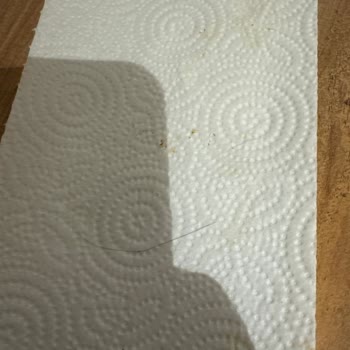 Yemek Sepeti Yardım Merkezi Ve Sipariş Kalitesi Sorunu