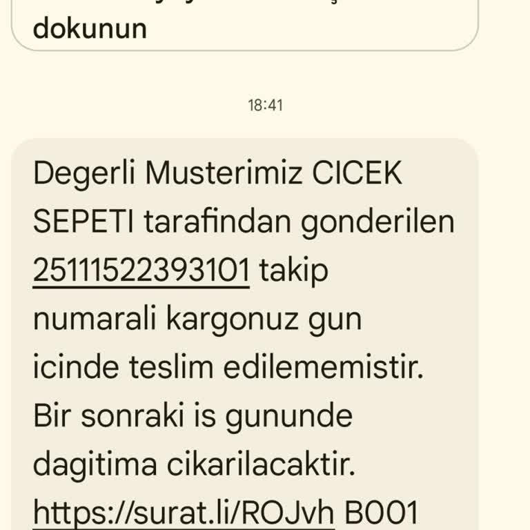 Teslim Edilmeyen Sipariş Ve Uzak Kargo Merkezine Gitme Zorunluluğu