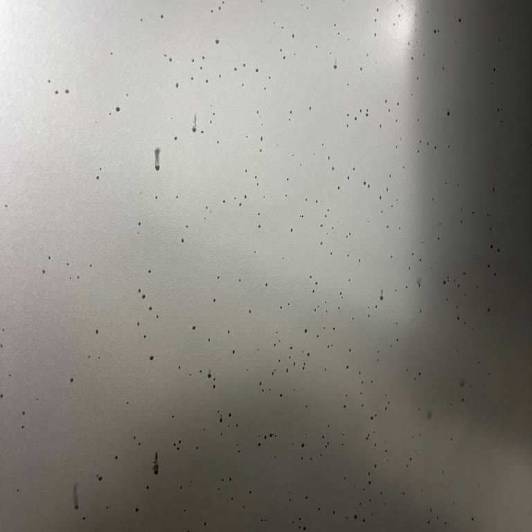 Stop Forte Sprey İle Buzdolabı Ve Dolaplarda Kalıcı İzler Ve Cilt Tahrişi