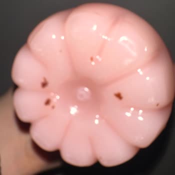 High Nutrition Ürününde Yabancı Madde Bulundu Ve Müşteri Hizmetleri Cevapsız