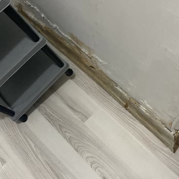 Sigorta Şirketinin Komşu Bilgisi Talebi Nedeniyle Dosyam Kapatıldı Ve Zararım Karşılanmadı